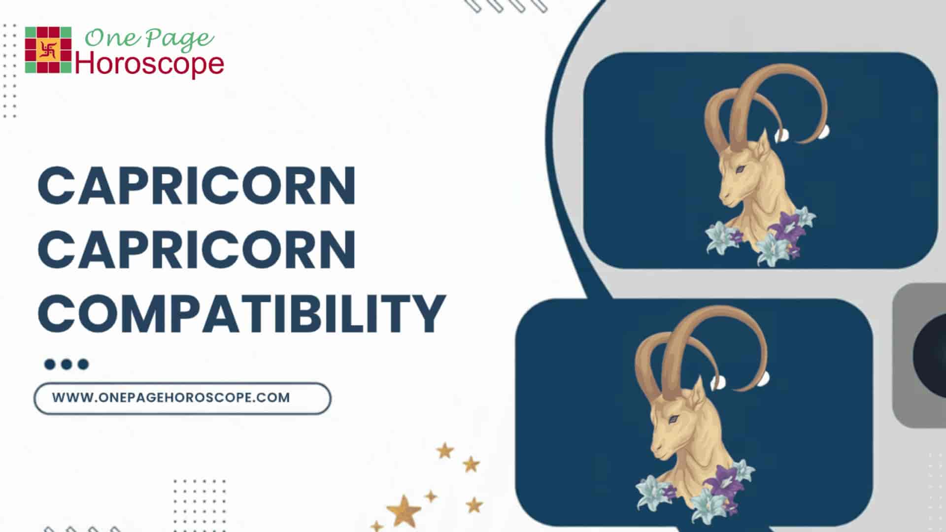 capricorn capricorn compatibility